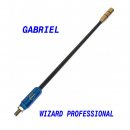 WIZARD Professional